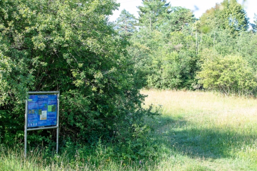 Landschaft & Gebäude