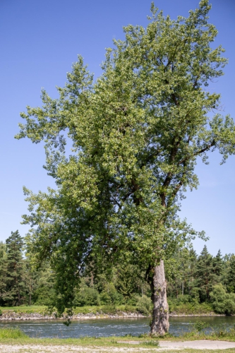 Landschaft & Gebäude