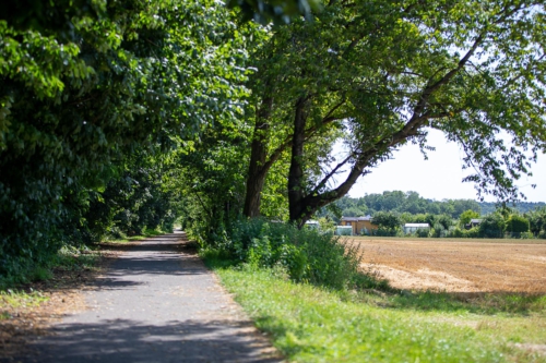 Landschaft & Gebäude
